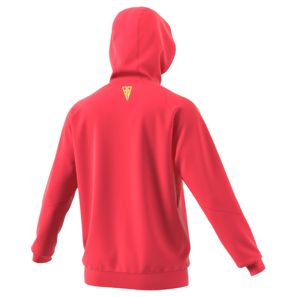 SUDADERA CAPUCHA JUGADOR JUNIOR 25/26