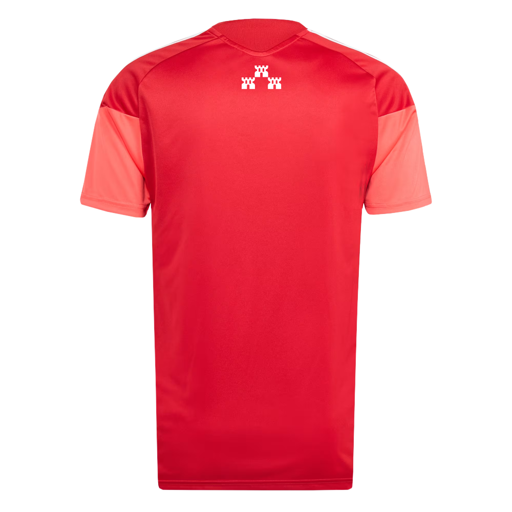 CAMISETA ENTRENAMIENTO PORTERO ADULTO 26/27