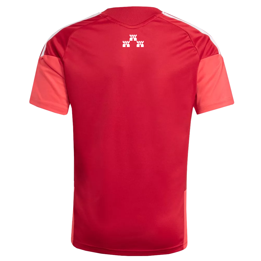 CAMISETA ENTRENAMIENTO PORTERO JUNIOR 26/27