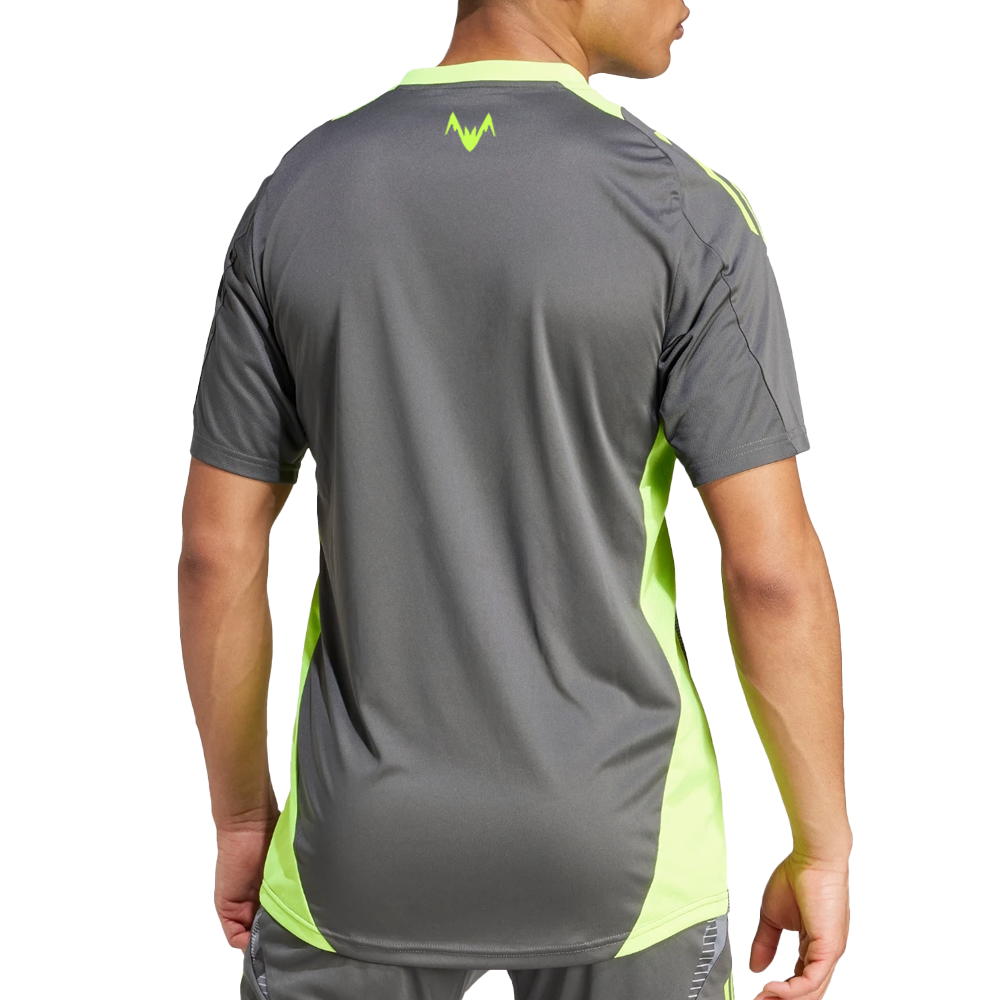 CAMISETA ENTRENAMIENTO JUGADOR JUNIOR 24/25