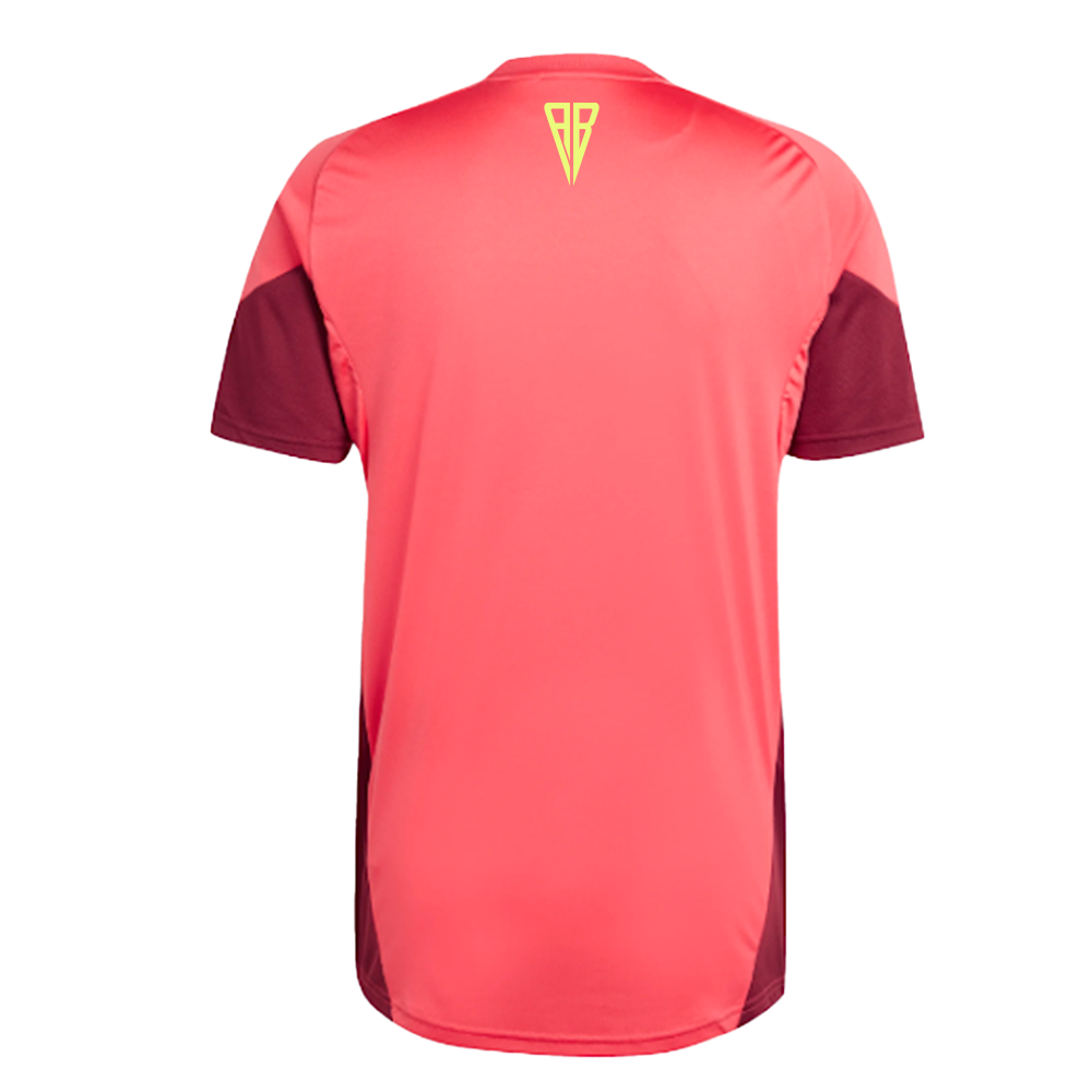 CAMISETA ENTRENAMIENTO JUGADOR ADULTO 25/26