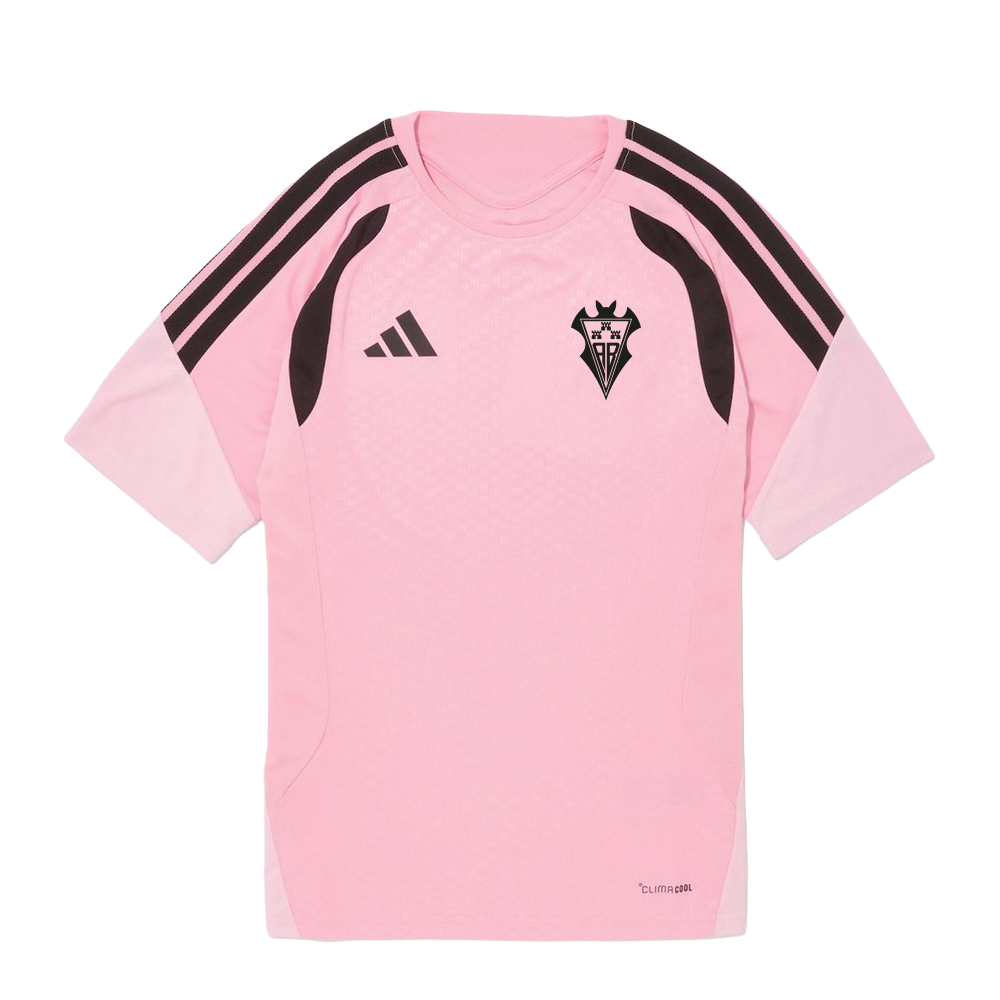 CAMISETA PREPARTIDO JUGADOR JUNIOR 26/27